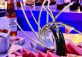 杭州西湖区北山街道附近酒吧招聘商务礼仪,一个月工资多少