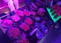 杭州萧山区蜀山街道附近夜场招聘商务接待,交五险一金吗？