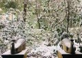杭州富阳区灵桥镇附近酒吧招聘商务礼仪,交五险一金吗？