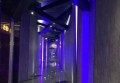 杭州临安区岛石镇附近夜场招聘商务礼仪,招聘信息靠谱吗？