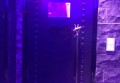 杭州富阳区新桐乡附近ktv招聘现场DJ,接受新人的