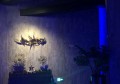 杭州上城区清波街道附近ktv招聘商务礼仪,不限身高